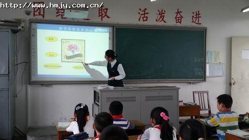 �ļ�Сѧ���á�ѡ���߰ࡱ��չ������֪ʶ֪���١��